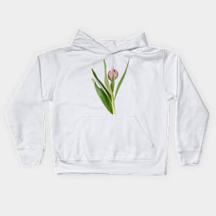 Tulipa &#39;Eternal Flame&#39; Double Early Tulip Kids Hoodie